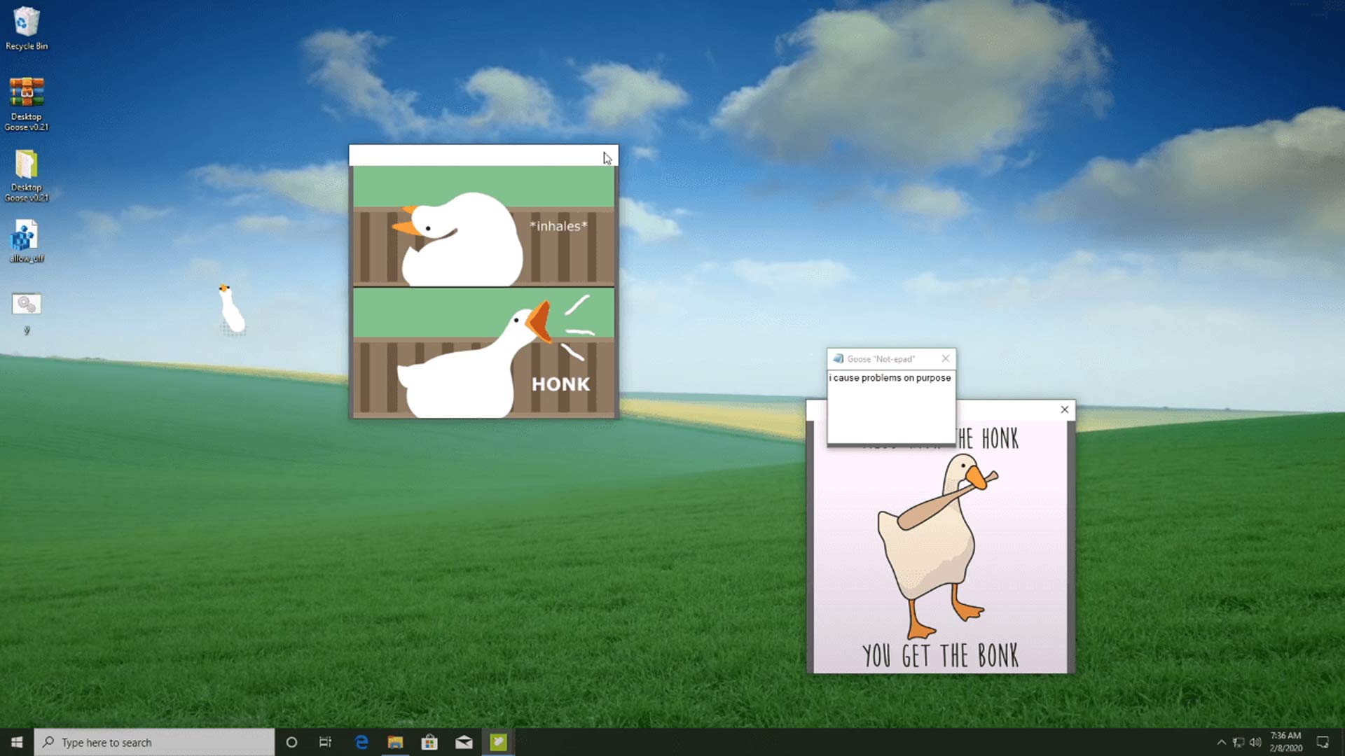 Desktop GooseScreenshot 1